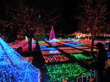 DSCN1439