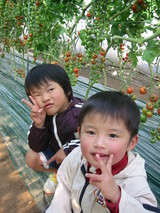 ���󤫤�̼����