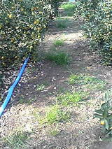 fe49c951.JPG