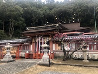 IMG_0355