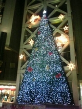 ���٥Υ륷�����Υĥ꡼