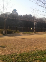 大阪城2009年1月