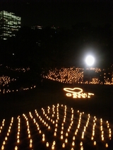 大阪城 城灯りの景2008 2