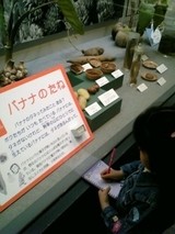 �ХʥʤΤ���