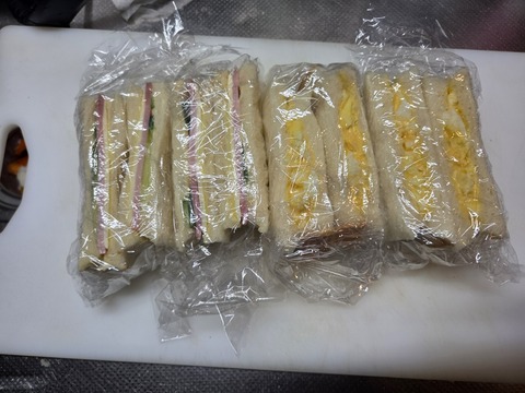 20261009_054934