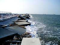 2007Ç¯ÂæÉ÷16¹æ18¹æ¤ÎÂçϲ¤ÇÇË»¤·¤¿¿À¸Í²½èʬ¾ì¤Ë¤·¸î´ß