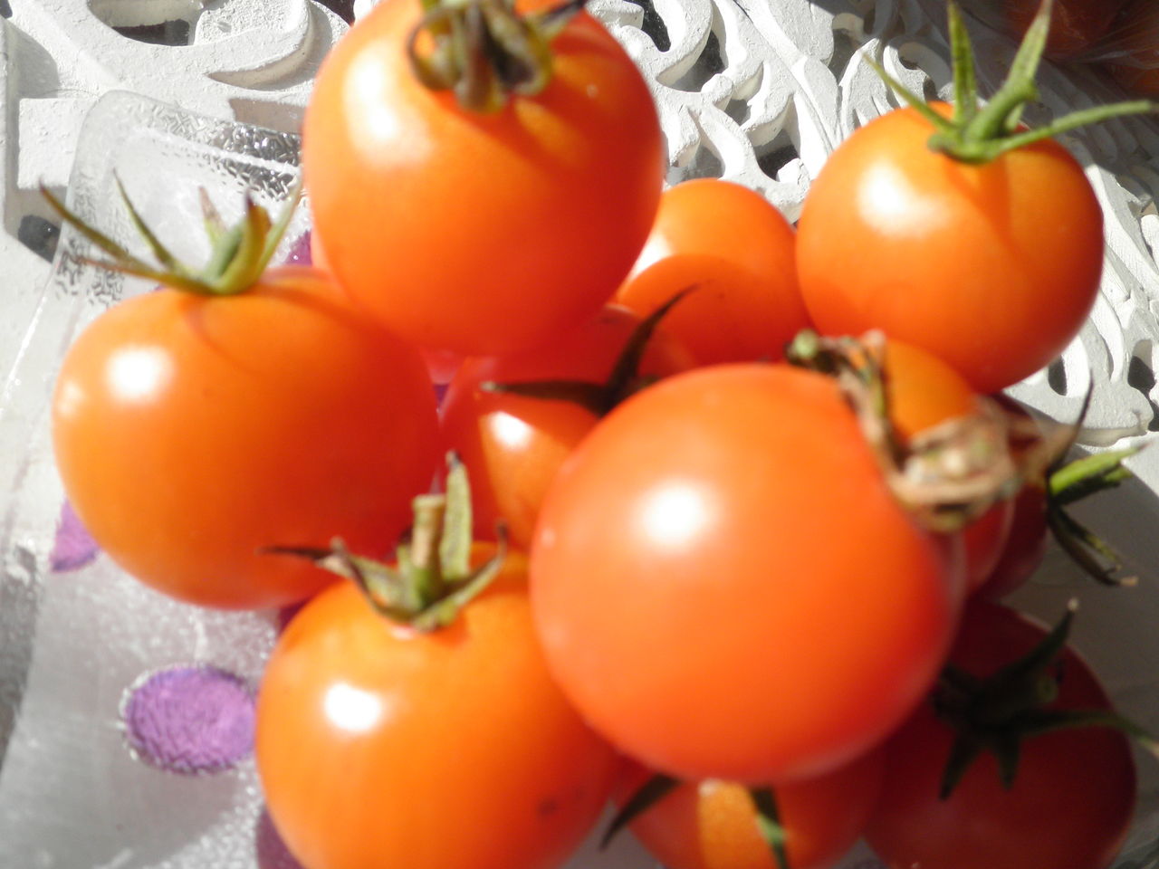 １２月の畑のお野菜 日本の文化を巡る旅