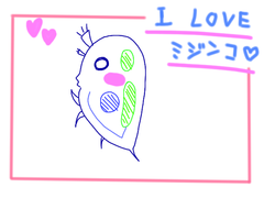 ミジンコLOVE