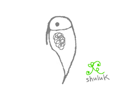 shuluK