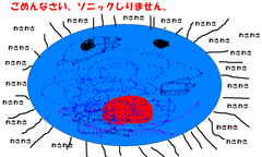 にんじんすきー