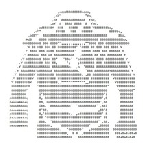 A太01