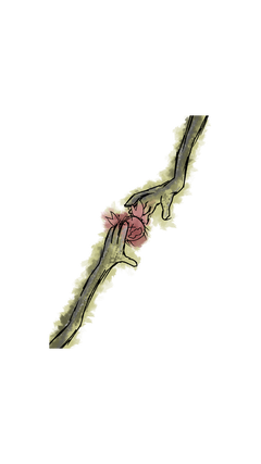 image0