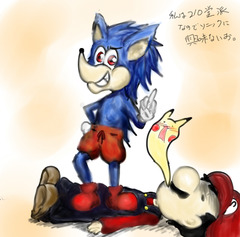 砂漠ぬこ