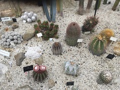 IMG_0229