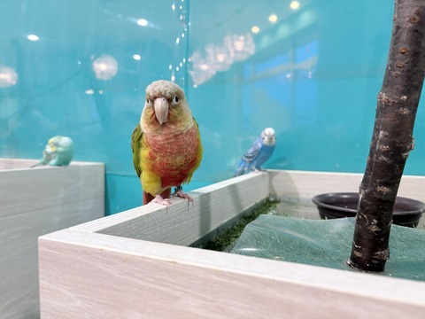 IMG_3402_1600