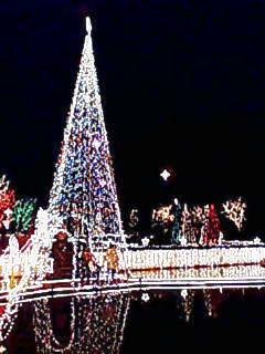 ­���ե��ѡ�����