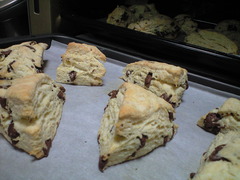 ���祳����󥯥�������