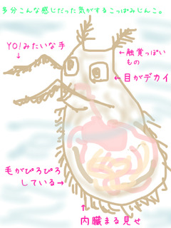 まめぢる