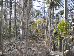 IMG_20150124_132324