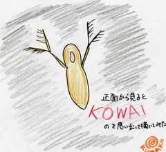 kumako(2枚目)