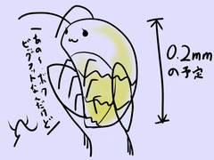 三時のオメマユ