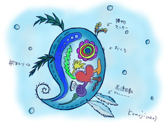 komuji