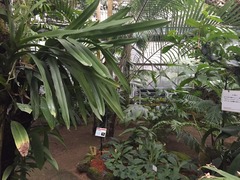 IMG_0254
