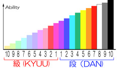 級と段