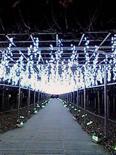 ­���ե��ѡ�����