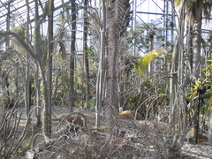 IMG_20150124_132329