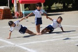 IMG_8951