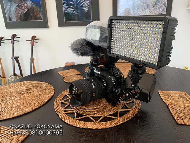 EOS90D_sp02