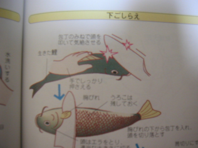 山盛りの炭水化物 鯉こく Livedoor Blog ブログ