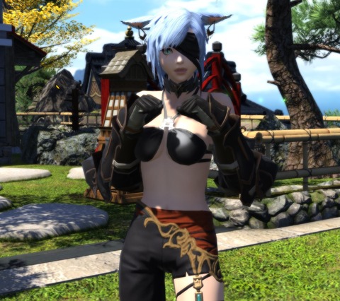 ffxiv_dx11 2017-10-15 18-00-29-919