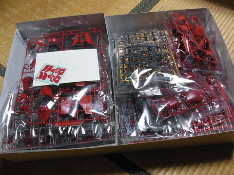 RIMG0133