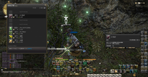 ffxiv_dx11 2017-07-16 16-54-26-343
