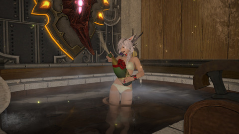 ffxiv 2014-08-29 00-21-14-668