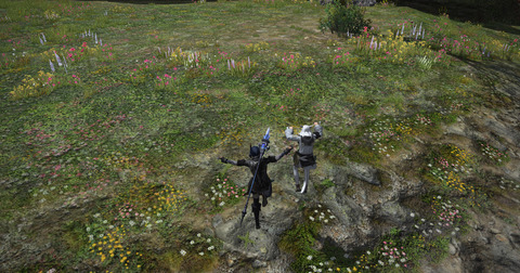 ffxiv_dx11 2016-04-10 13-46-46-067