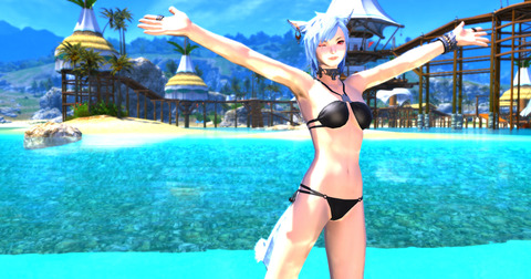 ffxiv_dx11 2017-08-27 01-45-30-844