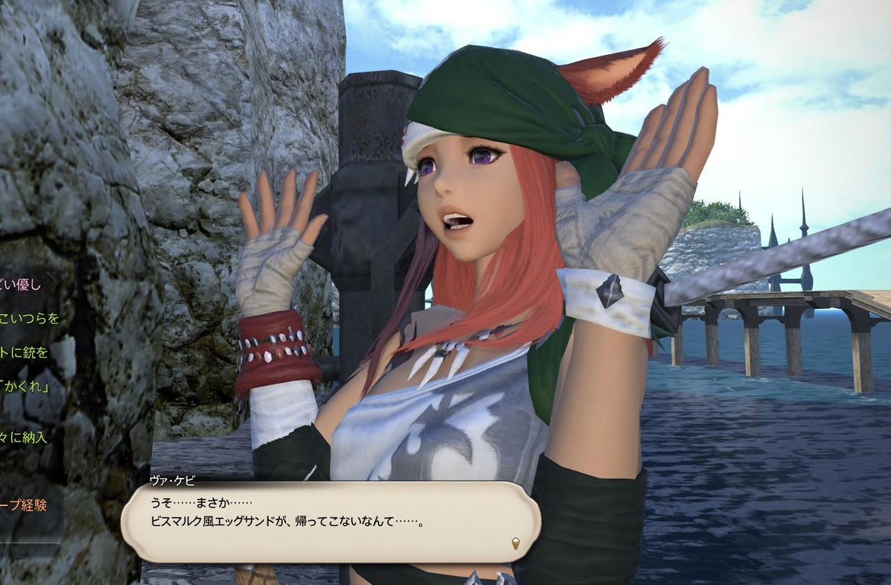 Ff14 双剣のメスッテでニャニャしたからまだロリコンじゃないね W 蟹戦車のグダグダ日誌