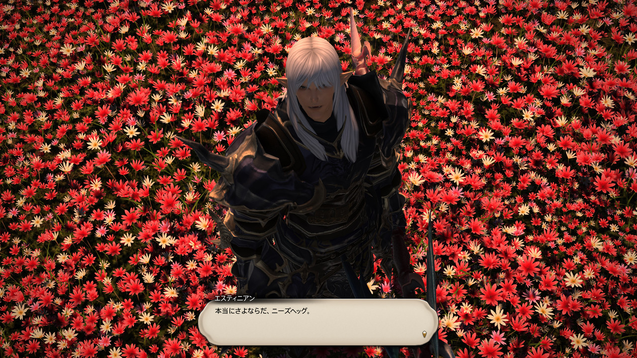 Ff14 メイン終わって これから ネタバレあり 蟹戦車のグダグダ日誌 Ff14 メイン終わって これから ネタバレあり 蟹戦車のグダグダ日誌