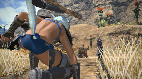 ffxiv 2014-01-13 02-08-44-127