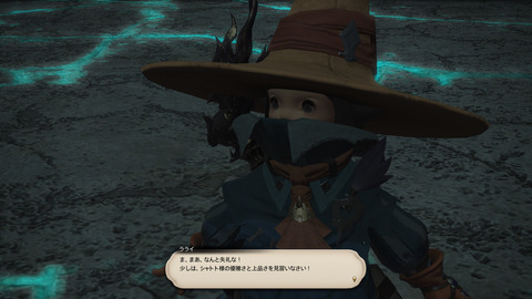 ffxiv_dx11 2017-10-28 22-28-52-619