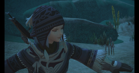 ffxiv_dx11 2017-09-02 16-56-23-806