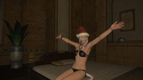 ffxiv 2013-12-24 02-15-41-904