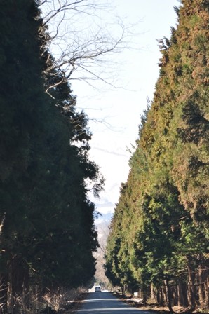 神々の午睡 今日もいいことcomeon日記 金ケ崎町観光協会ブログ