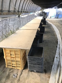 20181114_031721706_iOS