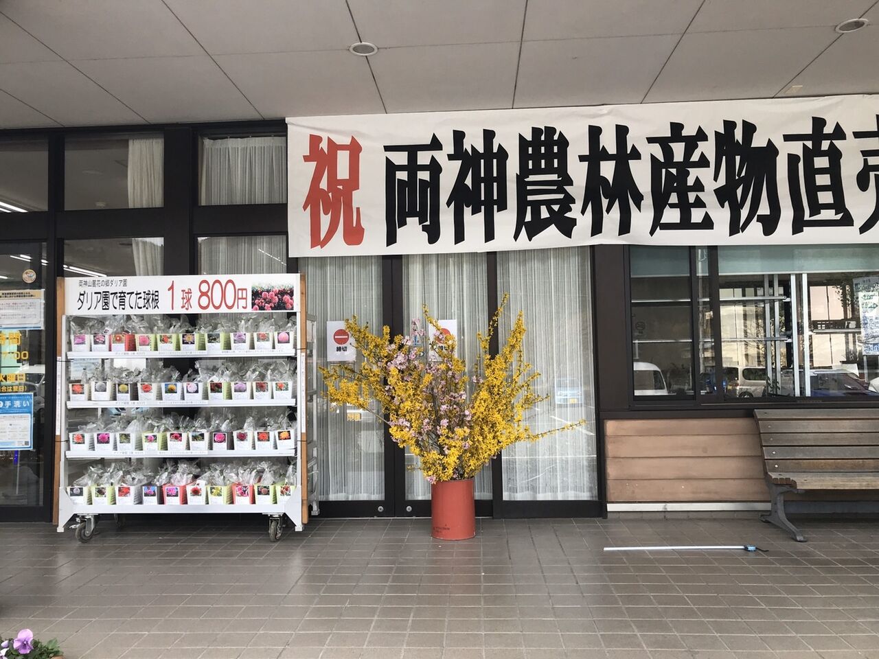 令和3年4月3日 ダリア園の球根販売が始まりました 両神山麓花の郷ダリア園