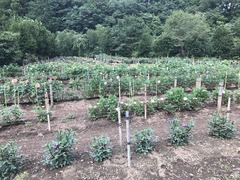 20180908_060605104_iOS
