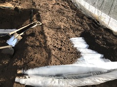20181218_051223573_iOS